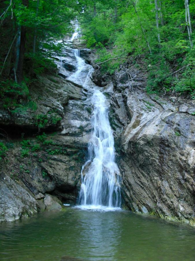 Biobauernhof Schoettelbauer Rosenau am Hengstpass ภายนอก รูปภาพ